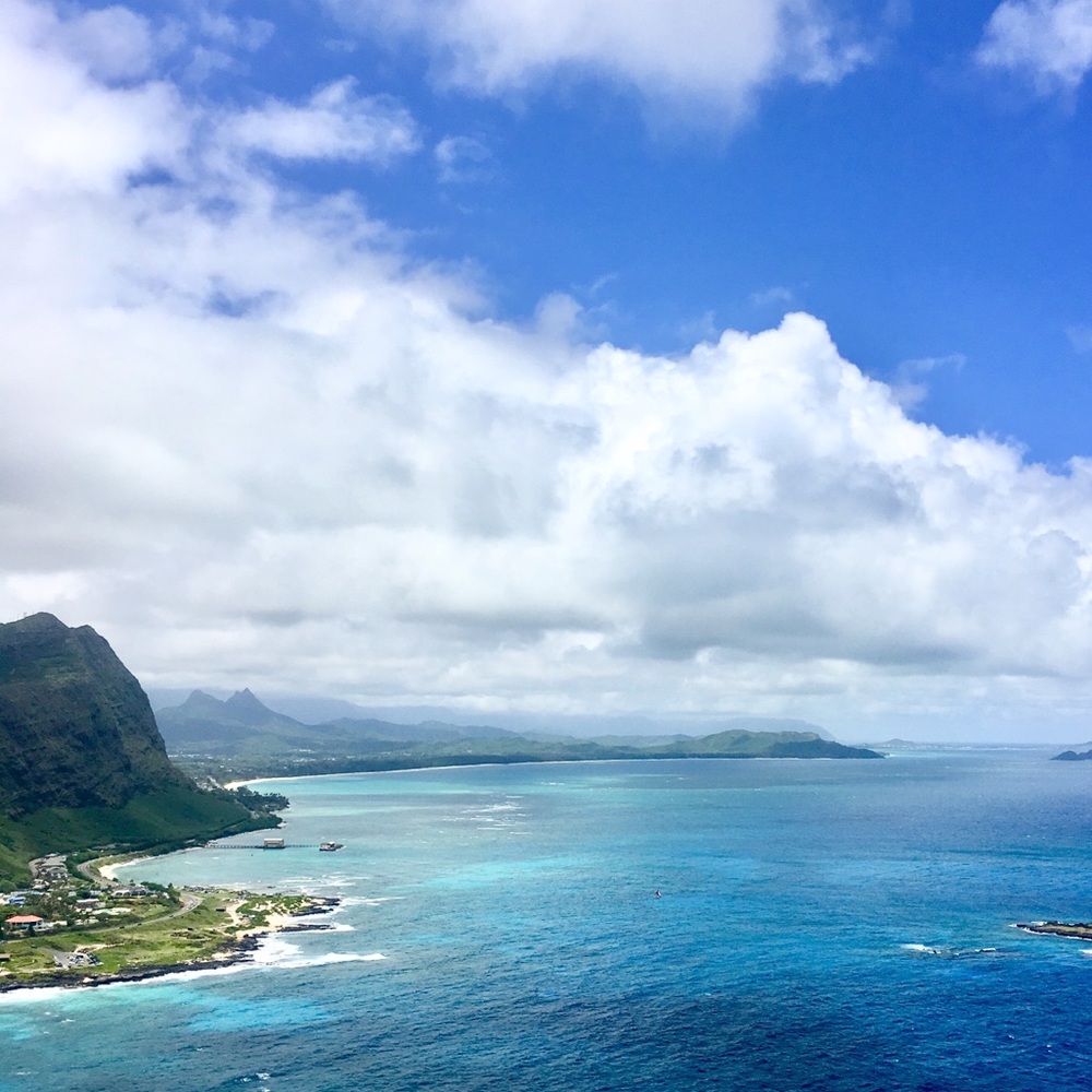 Meet your Posher, Michelle ⭐️ Posh Ambassador ⭐️